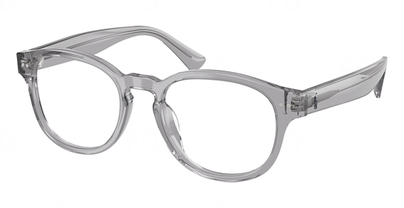 Shiny Transparent Grey
