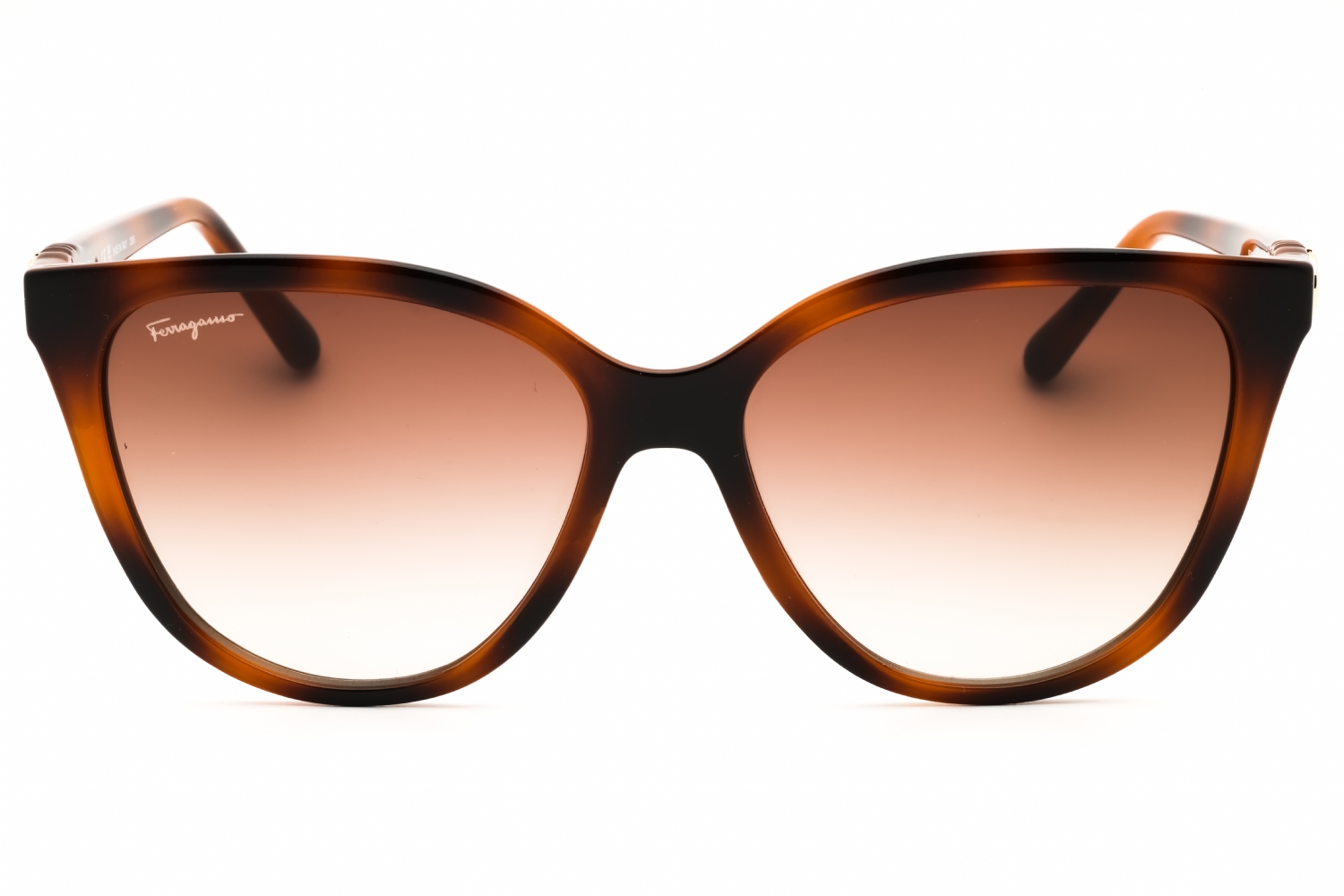 トップス salvatoreFerragamo Contactsexpress.ca -- Salvatore Ferragamo SF1056S