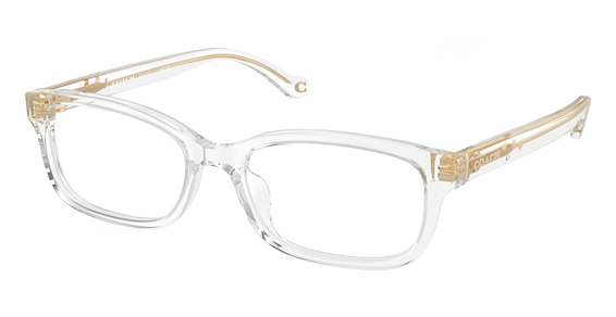 COACH HC6233U - Transparent Clear, Plastic, Oval frame