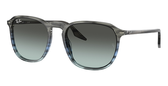 Ray-Ban RB2203 - Striped Gray Gradient BL, Plastic, Oval frame