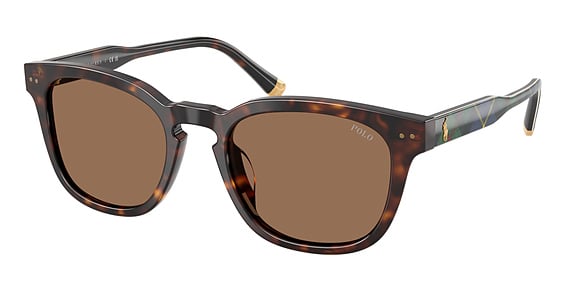 Polo PH4242F - Shiny Havana, Plastic, Round frame
