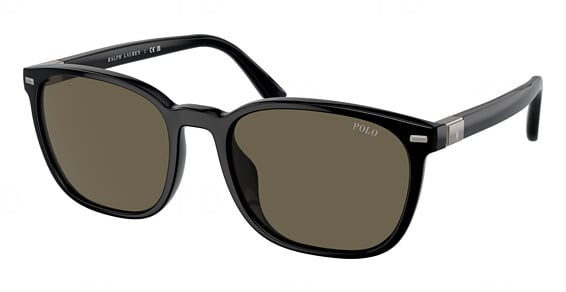 Polo PH4208U - Shiny Black, Acetate, Oval frame