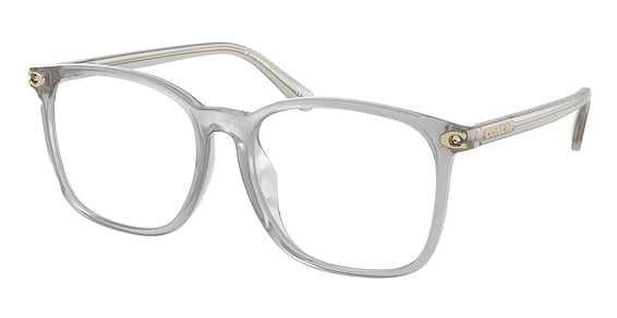 COACH HC6254BD - Transparent Dove, Acetate, Oval frame
