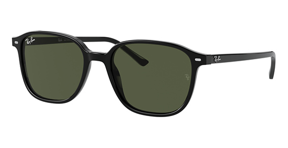 Ray-Ban RB2193 LEONARD - Black, Plastic, Oval frame
