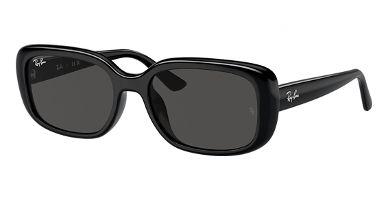 Ray-Ban RB4421D - Black, Acetate, Oval frame