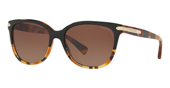 COACH HC8132 L109 - Black Tortoise Gradient, Plastic, Oval frame