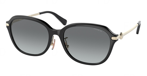 COACH HC8332D C6199 - Black, Acetate, Oval frame