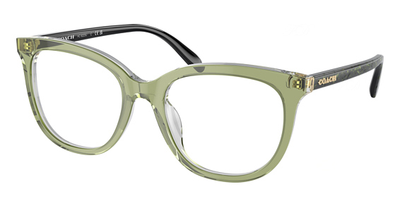 COACH HC6223U - Transparent Green Hopper, Plastic, Oval frame