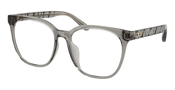 COACH HC6267D - Transparent Light Grey, Acetate, Oval frame