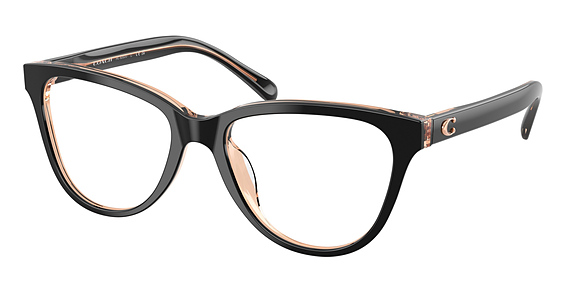 COACH HC6202U - Black, Plastic, Oval frame