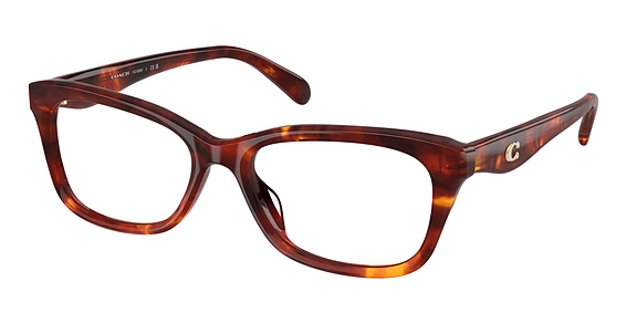 COACH HC6285F - Walnut Tortoise, Plastic, Oval frame