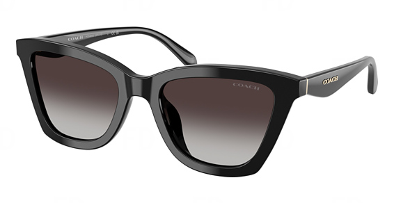 COACH HC8464U CFU10 - Black, Plastic, Mixed Shapes frame
