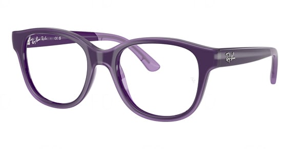 Ray-Ban RY1950 - Violet With Transparent, Acetate, Round frame