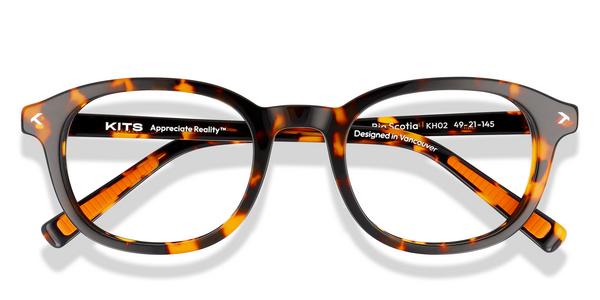 Kits Lenses