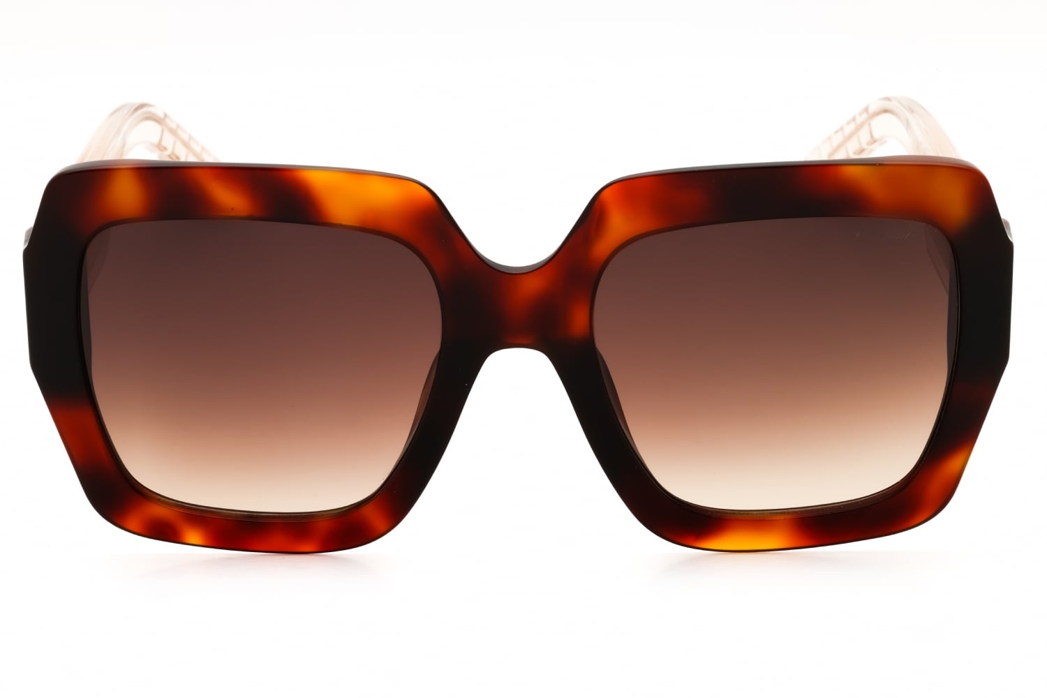 Chopard SCH363M - Shiny Havana, Acetate, Rectangle frame