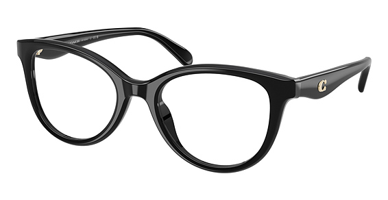 COACH HC6284U - Black, Plastic, Oval frame