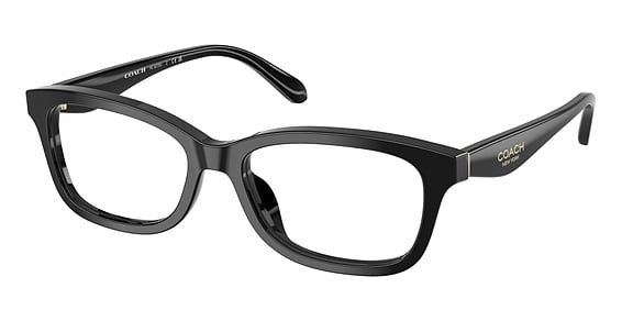 COACH HC6275U - Black, Plastic, Cat Eye frame