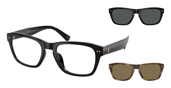 Polo PH4254U - Shiny Black, Acetate, Mixed Shapes frame