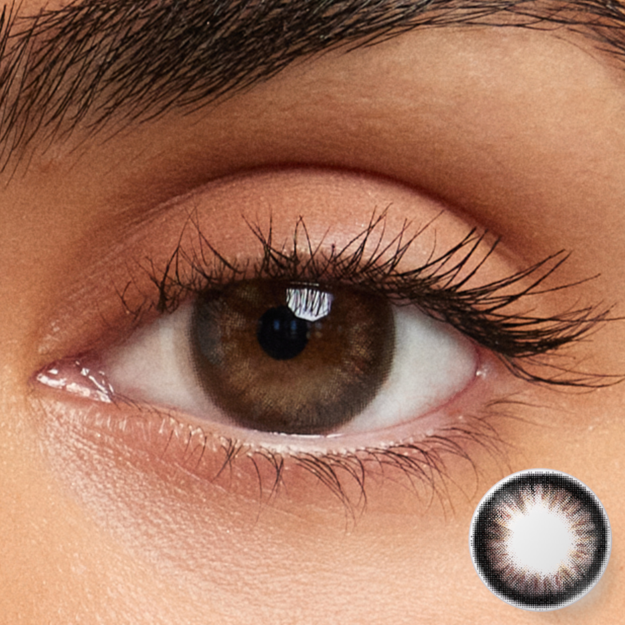 KITS Daily Color 10 Pack Smokey Brown